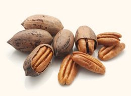 Wichita Nut